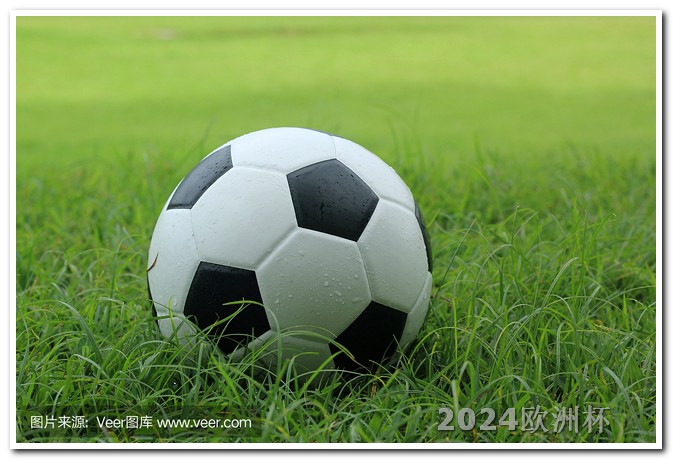 2020年欧洲杯总结 世界杯预选赛2024年赛程