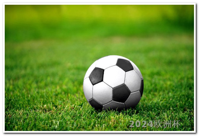 2023男足亚洲杯2021欧洲杯比赛专用球是几号球