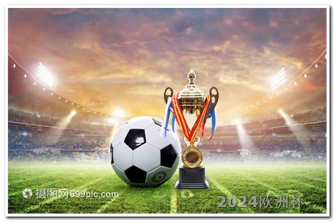 2024年德国欧洲杯现在哪里可以买欧洲杯足球