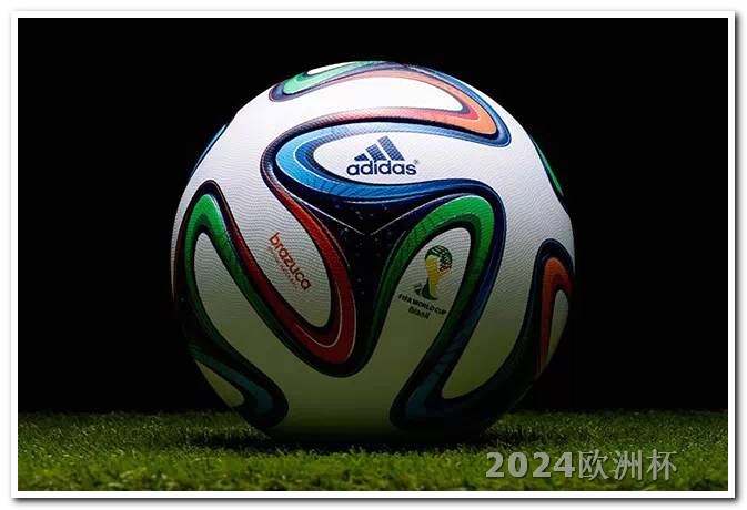 2024年足球世界杯赛程表欧洲杯决赛多少支队伍参加世界杯