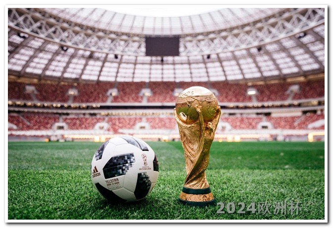 世界杯2022赛程及结果欧洲杯可以回放吗