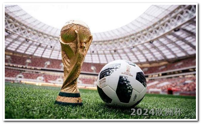 欧洲杯决赛门票价格表 2024欧冠决赛场地在哪