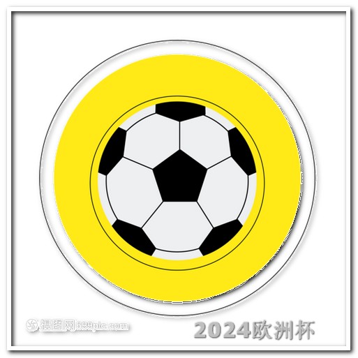 2024年中国举办的赛事欧洲杯球队衣服