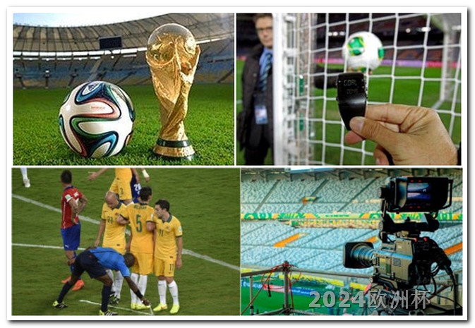 2024年有什么足球赛事欧洲杯指定投注官网查询网址是多少