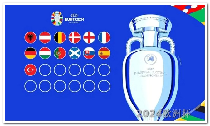 欧洲杯指定平台有哪些项目参赛 23～24英超赛程表