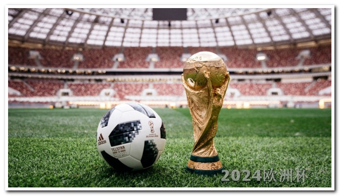 什么网站能买欧洲杯足球 世界杯2030是哪个国家