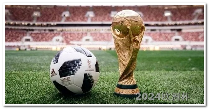 24年欧洲杯在哪里举行2021欧洲杯足球赛在哪个国家