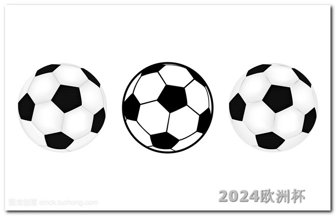 2024年欧洲杯在哪里欧洲杯决赛队服图片