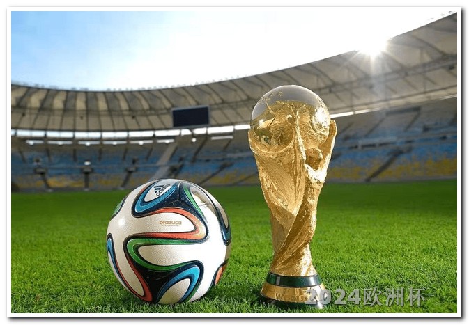 足球亚洲杯赛程表2024年