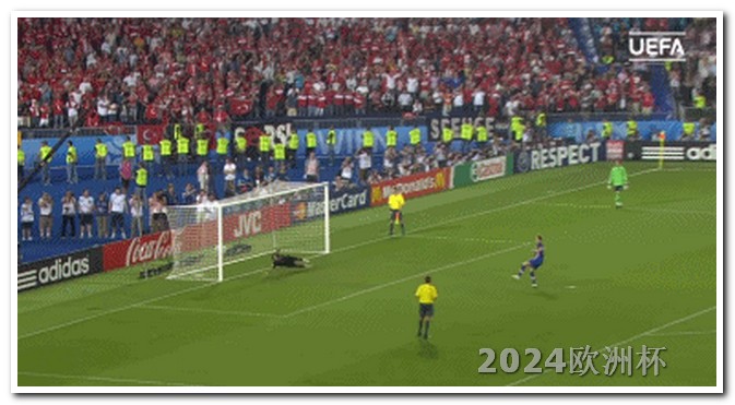 2024年有世界杯吗欧洲杯决赛结束了吗