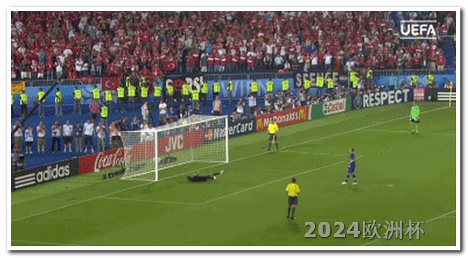 可以买欧洲杯的网站有哪些软件 2024年有什么足球大赛