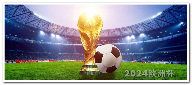 2021年欧洲杯所有球队 2024欧洲杯票价
