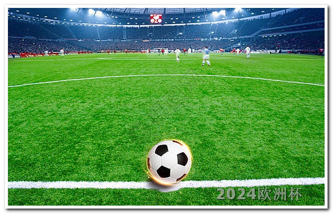 2024欧洲杯用球
