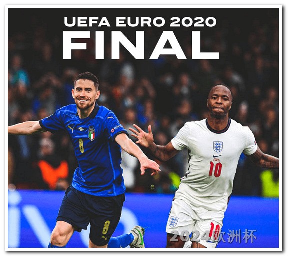 2024年欧洲杯预选赛分组葡萄牙球员 2024大型体育赛事