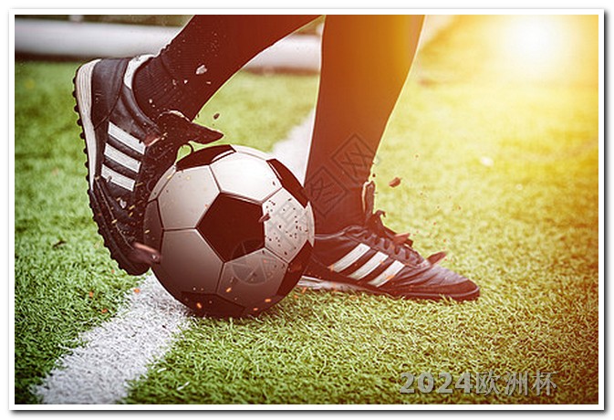 2024年有什么足球大赛投注欧洲杯用什么软件比较好一点