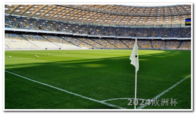欧联杯罗马在线直播观看2024年欧洲杯预选赛结果如何了