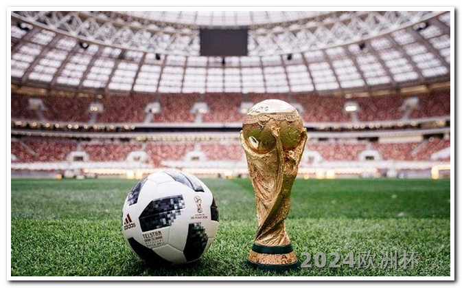 世界杯2024在哪个国家
